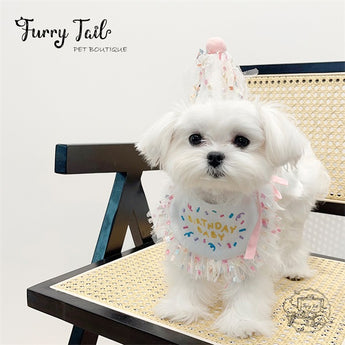 HBD Letters Pet Dog Cat Birthday Bandana Outfit Bib Set With Party Hat