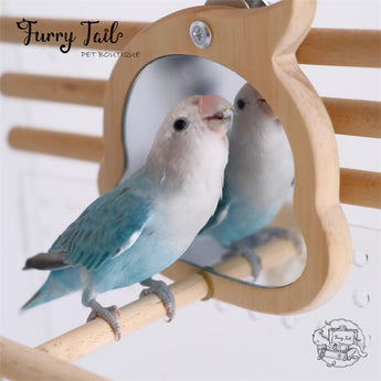 Pet Bird Parrot Toy Wood Stand Perch with Mirror/Food Bowl
