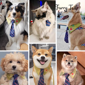 DISNEY Genuine Zootopia Series Nick Pet Dog Cat Small Pet Collar Tie Scarf Accessories