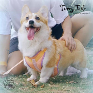 TuffHound Cat Dog Cool Water-storage Summer Harness & Leash Set