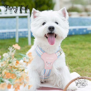 Tuffhound Sweet Candy Color Puff Cloud Stylish Pet Dog Cat Harness