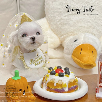 Golden Daisy HBD Dog Cat Birthday Bandana Outfit Bib Set Party Hat