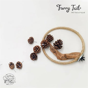 Flower Moon Bird Parrot Rope Wood Stand Ring Toy With Pine Cone
