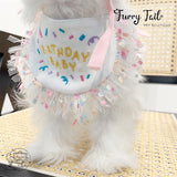 HBD Letters Pet Dog Cat Birthday Bandana Outfit Bib Set With Party Hat