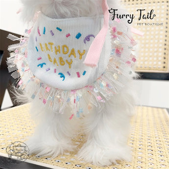 HBD Letters Pet Dog Cat Birthday Bandana Outfit Bib Set With Party Hat