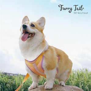 TuffHound Cat Dog Cool Water-storage Summer Harness & Leash Set