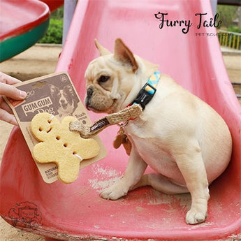 GIGWI Gum Gum Chewing Toy Teething Treat with Hemp Rope