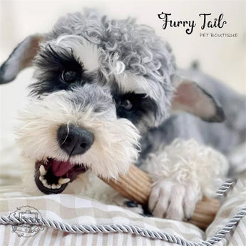 GIGWI Wooden Antler Dog Chew Toy