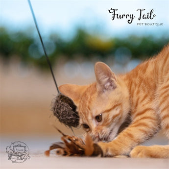 GIGWI Interactive Cat Feather Teaser Wand Toy TPR handle