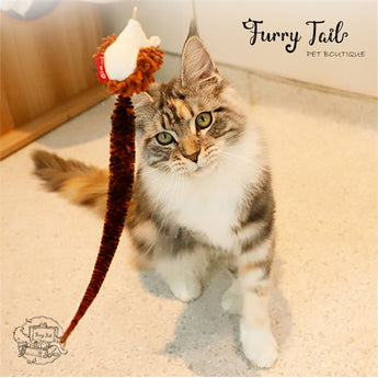 GIGWI Interactive  Cat Teaser Retractable Wand 2 in 1 Cat Toys