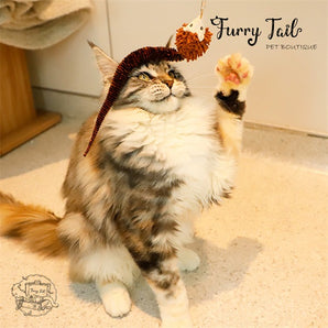 GIGWI Interactive  Cat Teaser Retractable Wand 2 in 1 Cat Toys