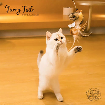 GIGWI Interactive  Cat Teaser Retractable Wand 2 in 1 Cat Toys