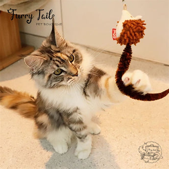 GIGWI Interactive  Cat Teaser Retractable Wand 2 in 1 Cat Toys