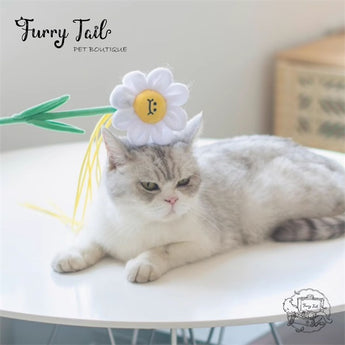 Purlab Multi-Color Cat Interactive Teaser Wand Toys