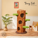 Cmisstree - Tree Hollow Wood Cat Tree Climber Scratching Post Series
