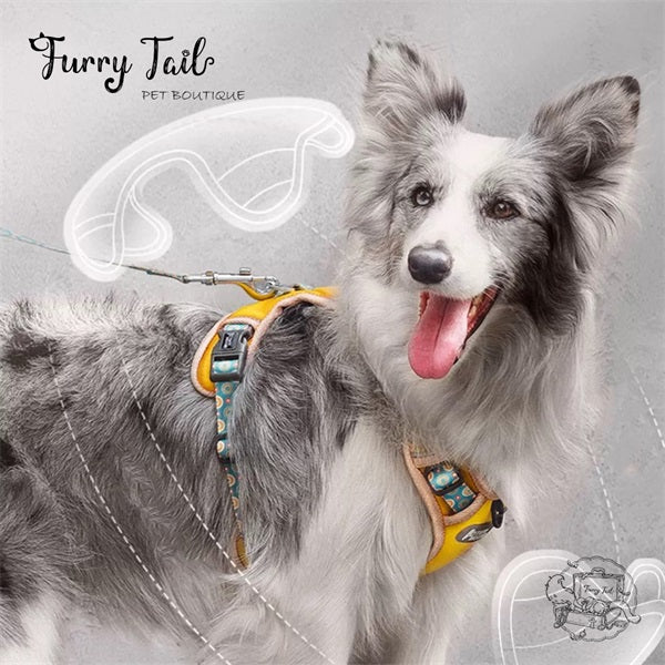 Large Dog Harness Leash FurryTail Pet Boutique PTY LTD