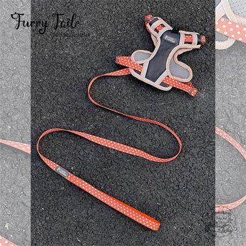 Tuffhound Lightweight Night Glow Large Dog Harness & Leash Set