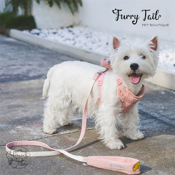 Touchdog Little Monster Pet Dog Cat Harness & Leash With Backpack